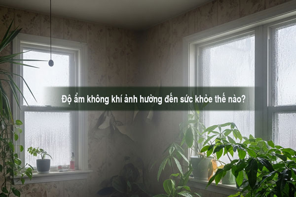 Độ ẩm không khí ảnh hưởng đến sức khỏe thế nào?